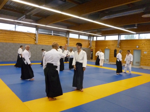 aikido,commentry,michel laurent