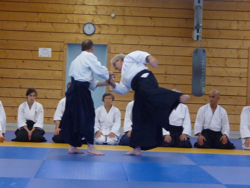 aikido,commentry,michel laurent