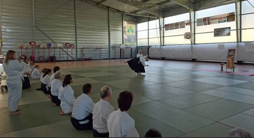 aikido,commentry,désertines,maurice thai