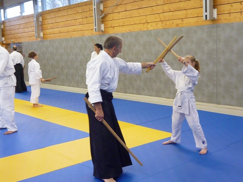 aikido,commentry,ffaaa,alain vivier