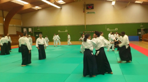 aikido,commentry,stage,christian mouza,vichy