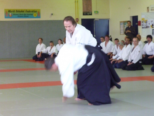 aikido,commentry,beaugency,bernard palmier