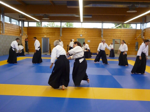 aikido,commentry,ffaaa,ligue auvergne,préparation grades,séminaire enseignants